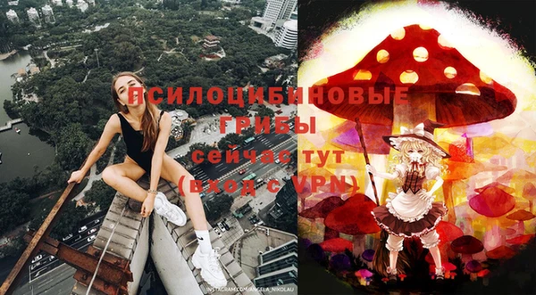 прущая мука Вяземский
