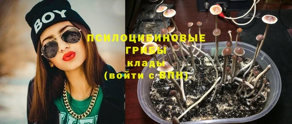 прущая мука Вяземский