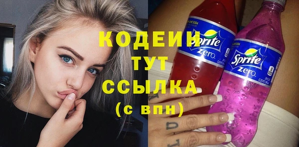 дживик Вязьма