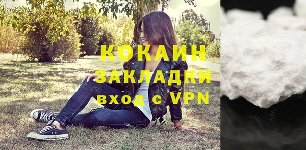 дживик Вязьма