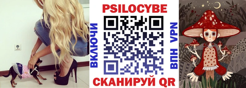 darknet состав  Дедовск  Псилоцибиновые грибы мицелий 