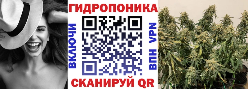 купить наркотики сайты  Дедовск  МАРИХУАНА OG Kush 